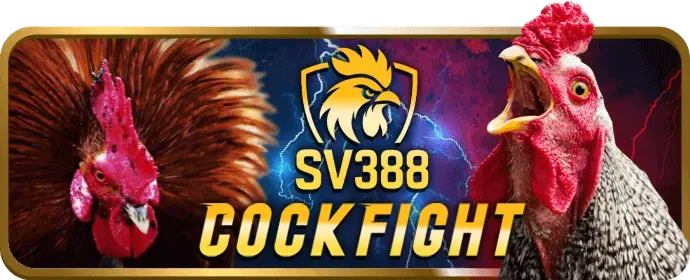 Dịch vụ chăm sóc khách hàng 24/7 go789
